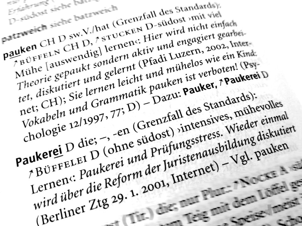 Auszug aus dem Variantenwörterbuch des Deutschen